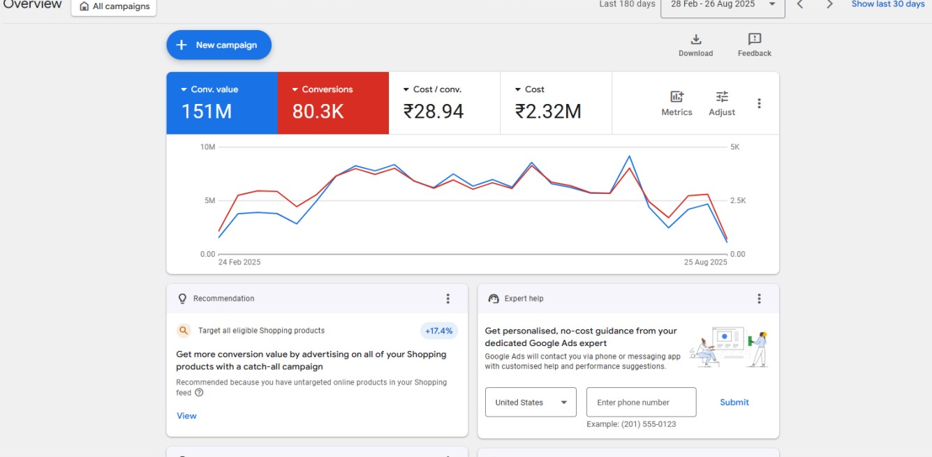 Google Ads Dashboard Before